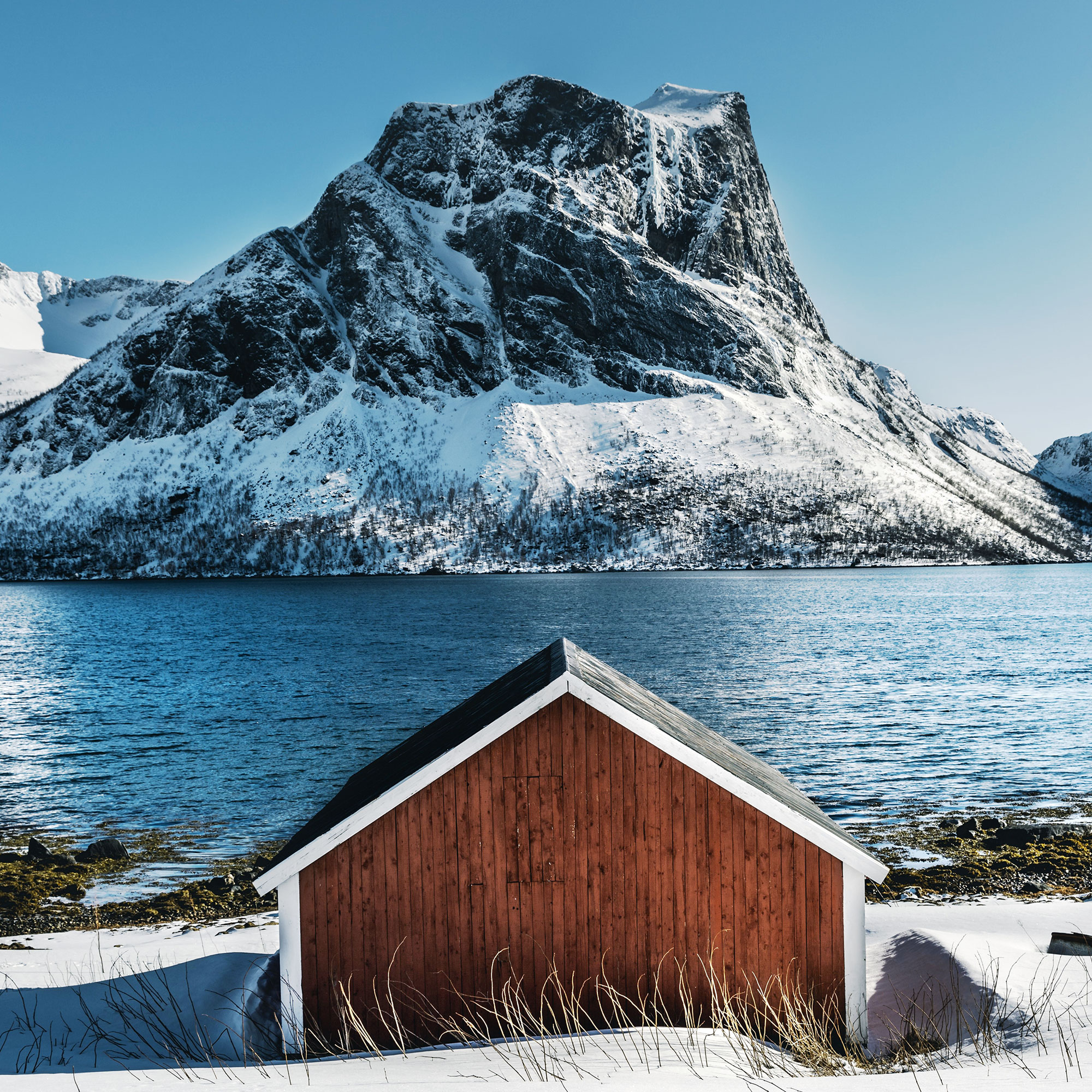 Norwegian seafood